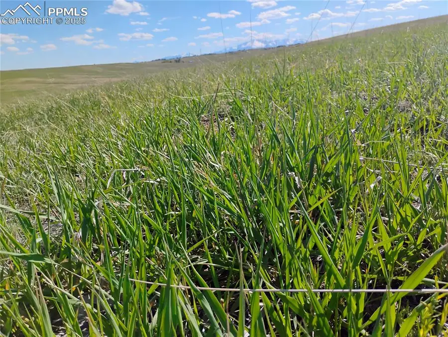 Parcel #3 Walker Road, Colorado Springs, CO 80908 - Image #2