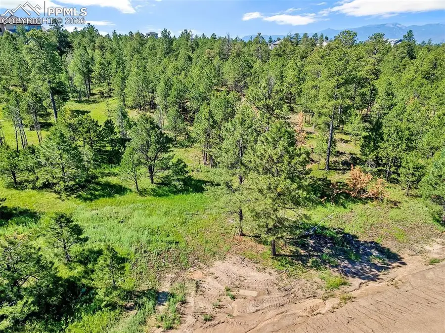 14431 Allen Ranch Road, Colorado Springs, CO 80908 - #3