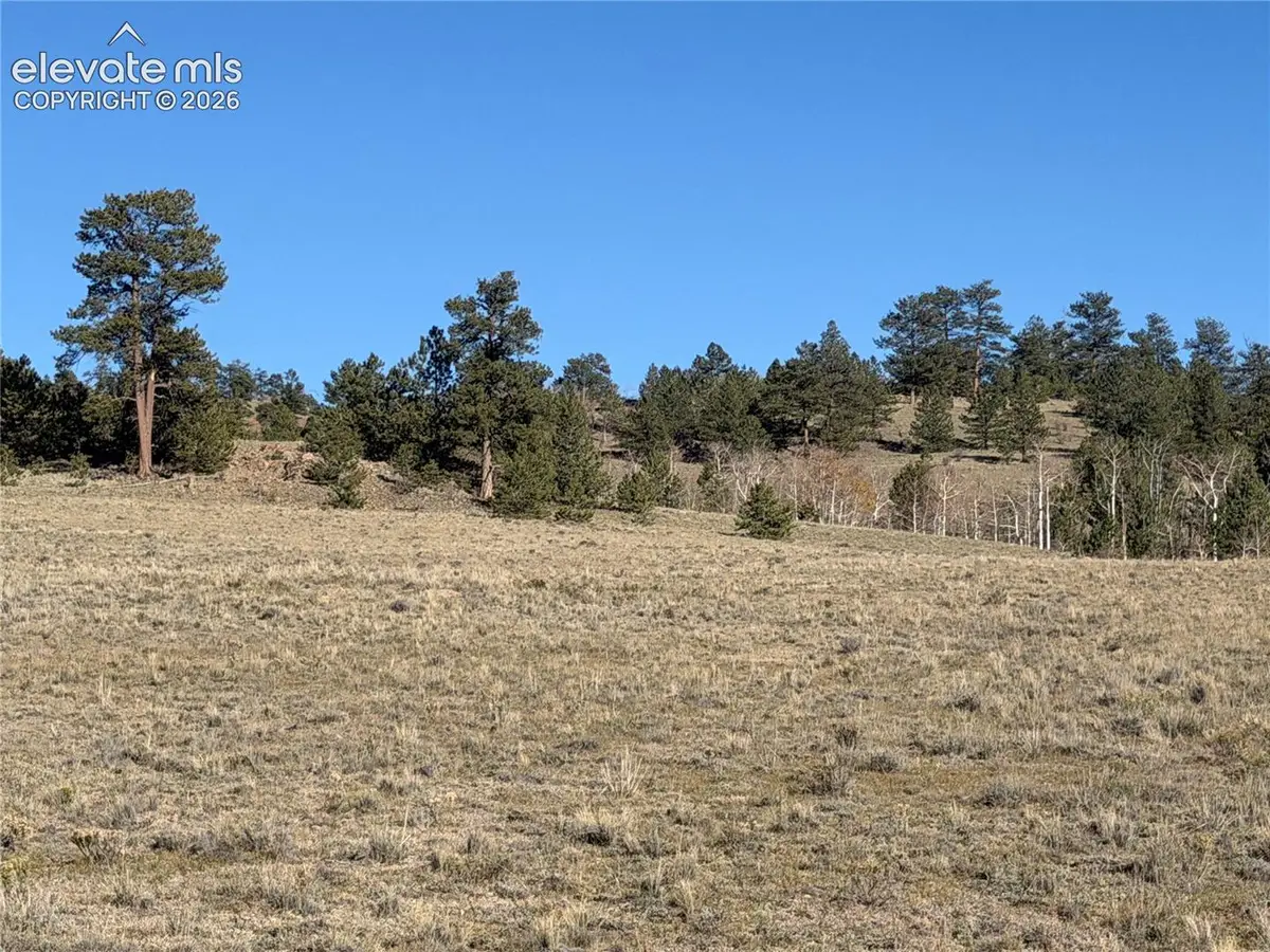 LOT 2220 Caddo Road, Hartsel, CO 80449 - #1