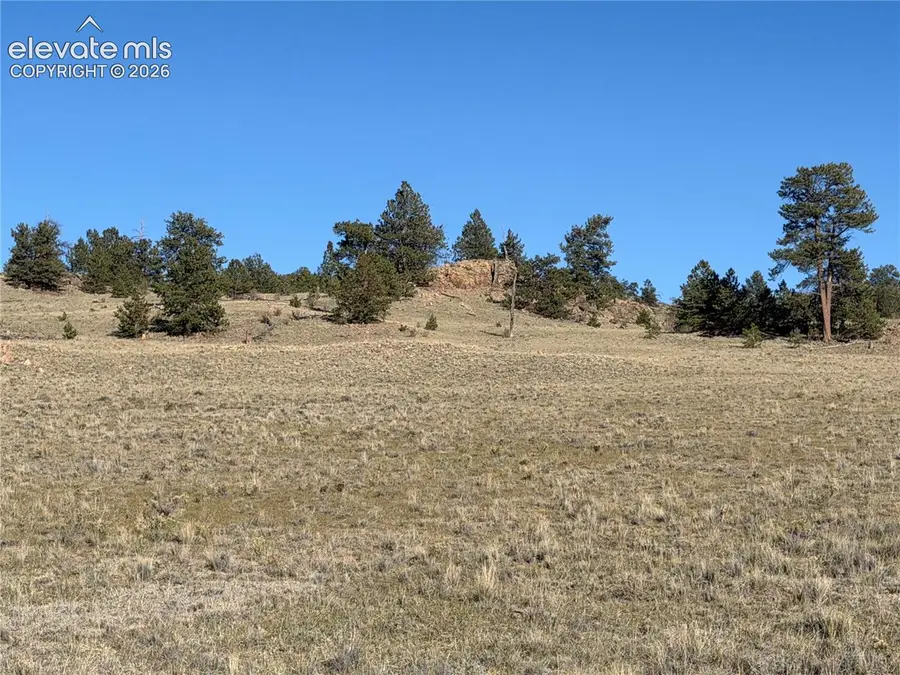 LOT 2220 Caddo Road, Hartsel, CO 80449 - #3