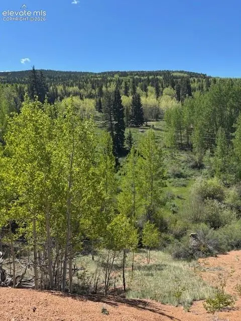124 Yorktown Drive, Cripple Creek, CO 80813