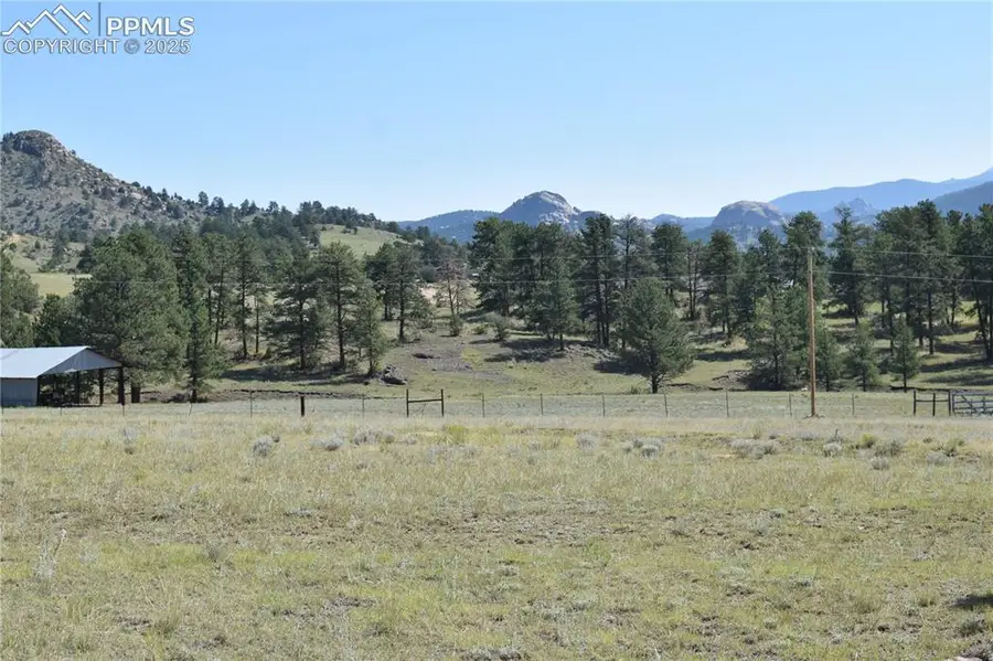 431 High Chateau Road, Florissant, CO 80816 - #3