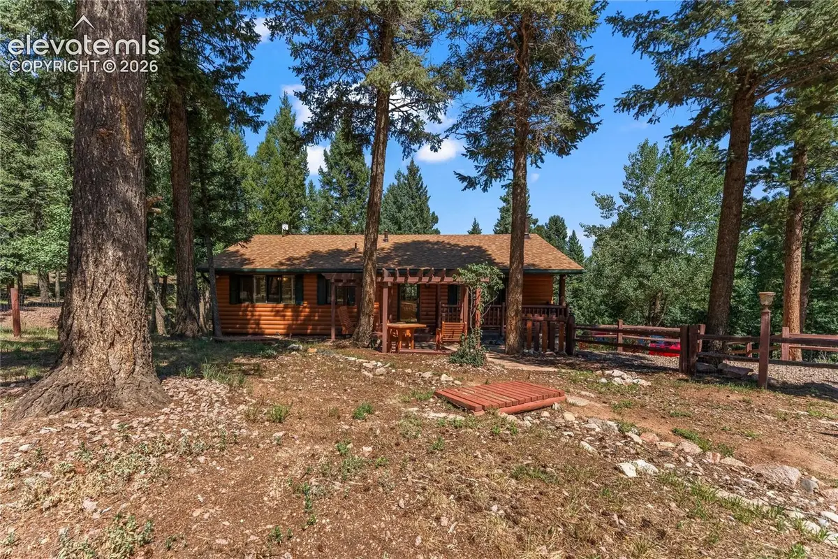 101 Heather Circle, Divide, CO 80814 - #1