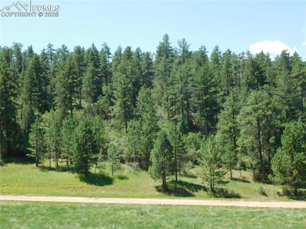 4668 Comanche Drive, Larkspur, CO 80118 - #1