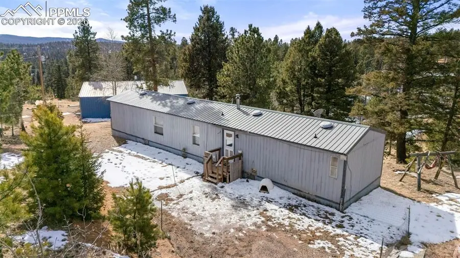 171 Star View Trail, Divide, CO 80814 - #3
