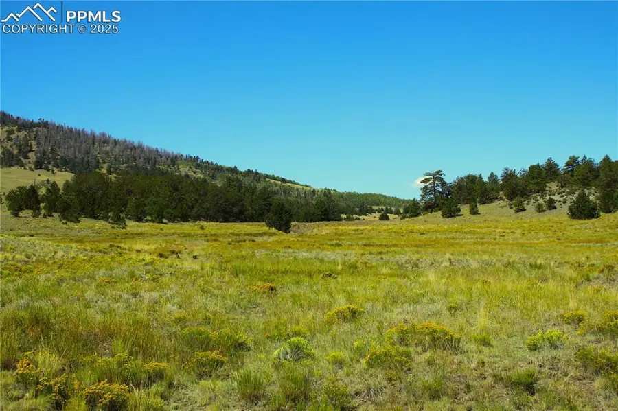 Highway 9, Guffey, CO 80820 - Image #2