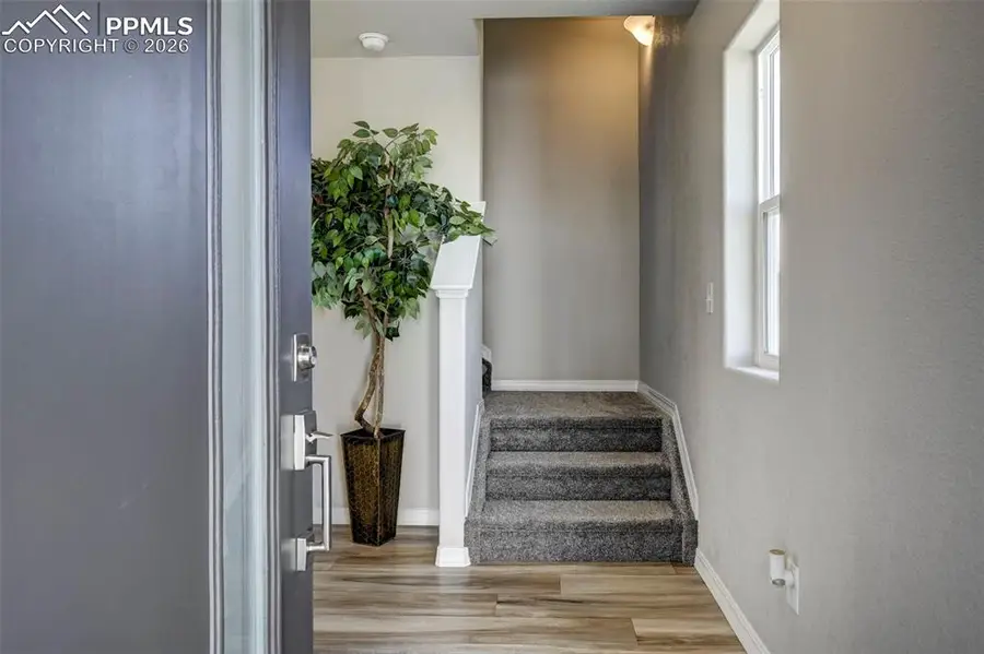 4548 Hawk Haven View, Colorado Springs, CO 80911 - #2