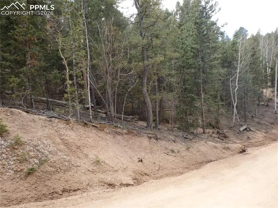 620 Wakanda Trail, Woodland Park, CO 80863 - #2