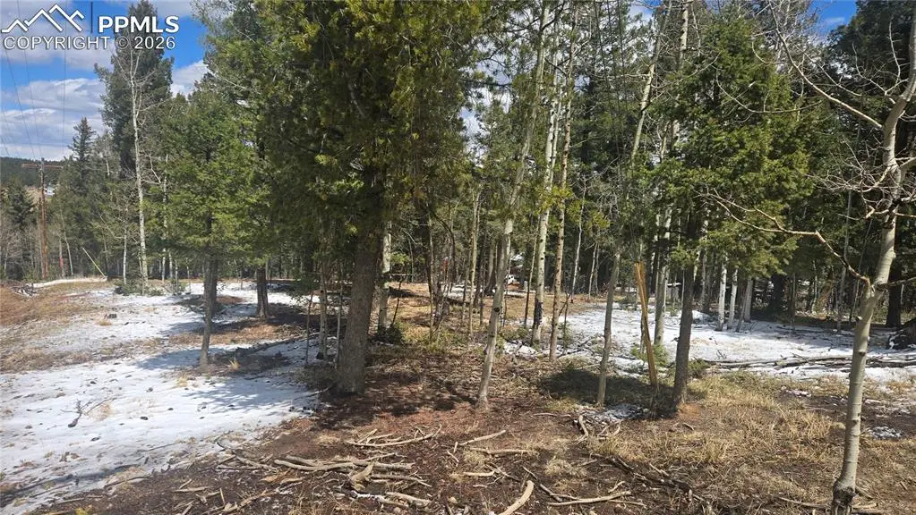 144 Little Bear Peak Road, Florissant, CO 80816 - #1