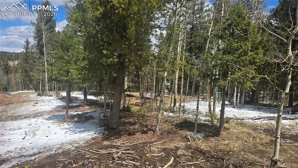144 Little Bear Peak Road, Florissant, CO 80816