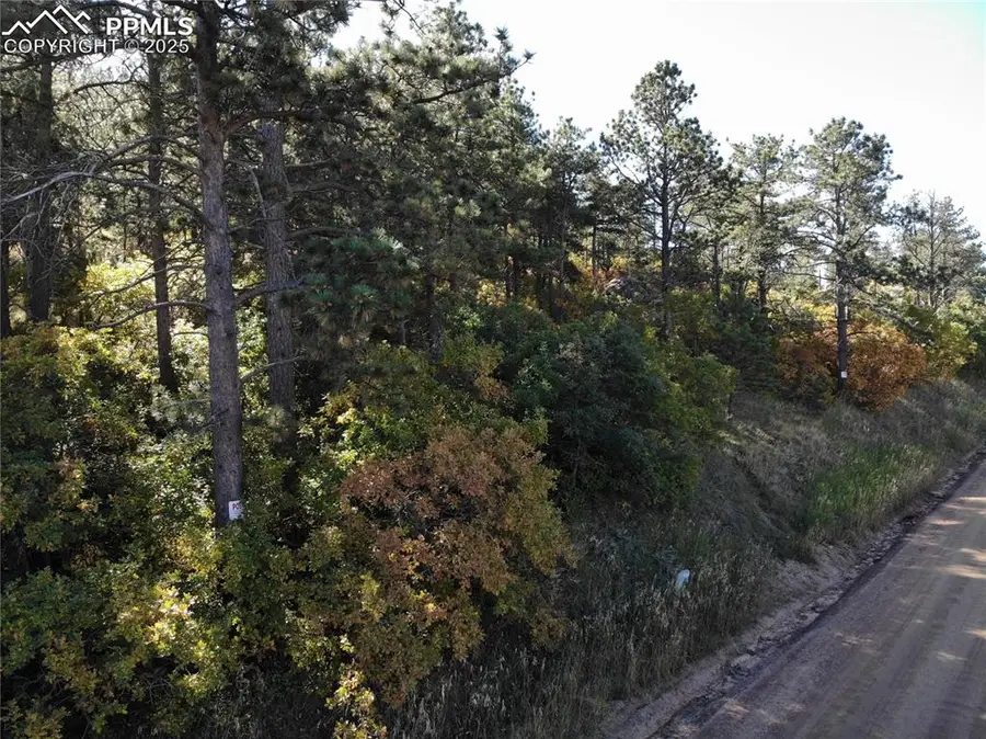 Oakdale Terrace, Palmer Lake, CO 80133 - Image #2