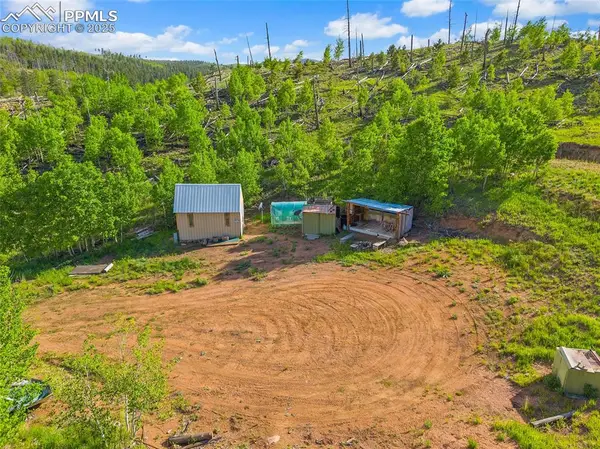 77 Lakeview Circle, Florissant, CO 80816