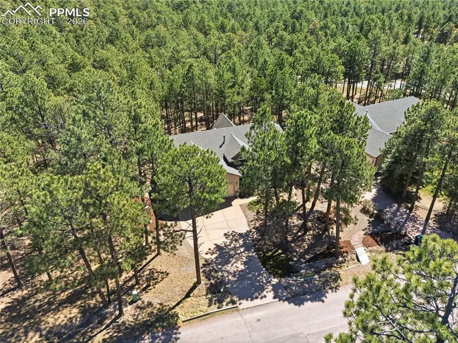 16206 Red Fox Lane, Colorado Springs, CO 80921 - #3