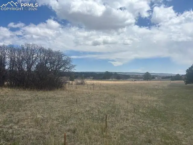 3615 Summertime Court, Monument, CO 80132 - #2