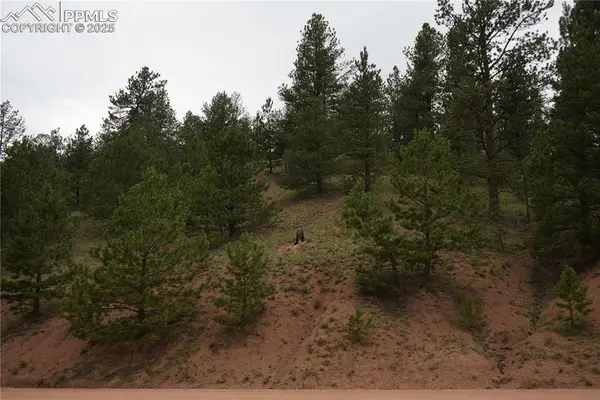 557 Gold King Drive, Cripple Creek, CO 80813