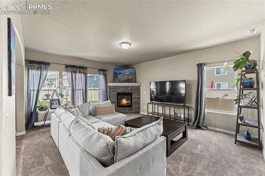 4482 Prairie Agate Drive, Colorado Springs, CO 80938 - Image #3