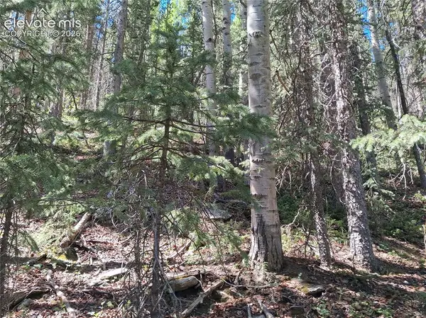2462 Anges Drive, Cripple Creek, CO 80813