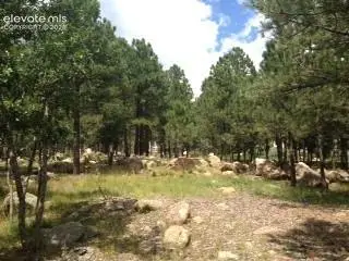 667 Silver Oak Grove, Colorado Springs, CO 80906 - #1