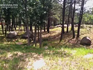 667 Silver Oak Grove, Colorado Springs, CO 80906 - #2