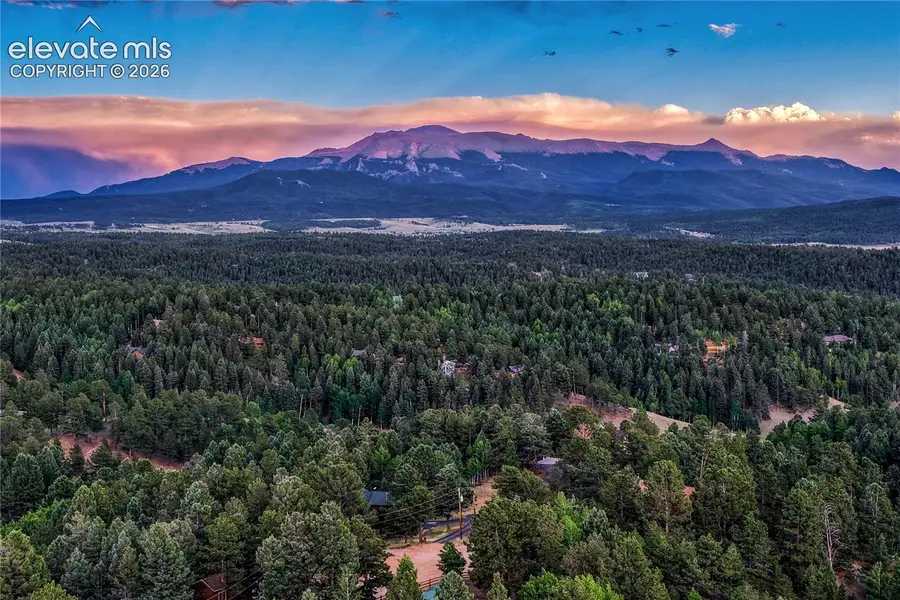 78 Barr Lake Circle, Divide, CO 80814 - #2