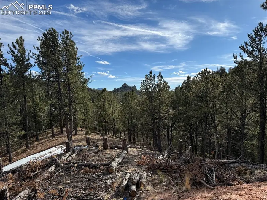 162 Eagle Drive, Divide, CO 80813 - #2