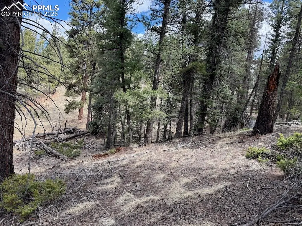 472 Pinewood Road, Florissant, CO 80816 - Image #1