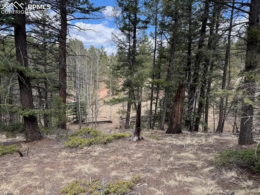 472 Pinewood Road, Florissant, CO 80816 - Image #2