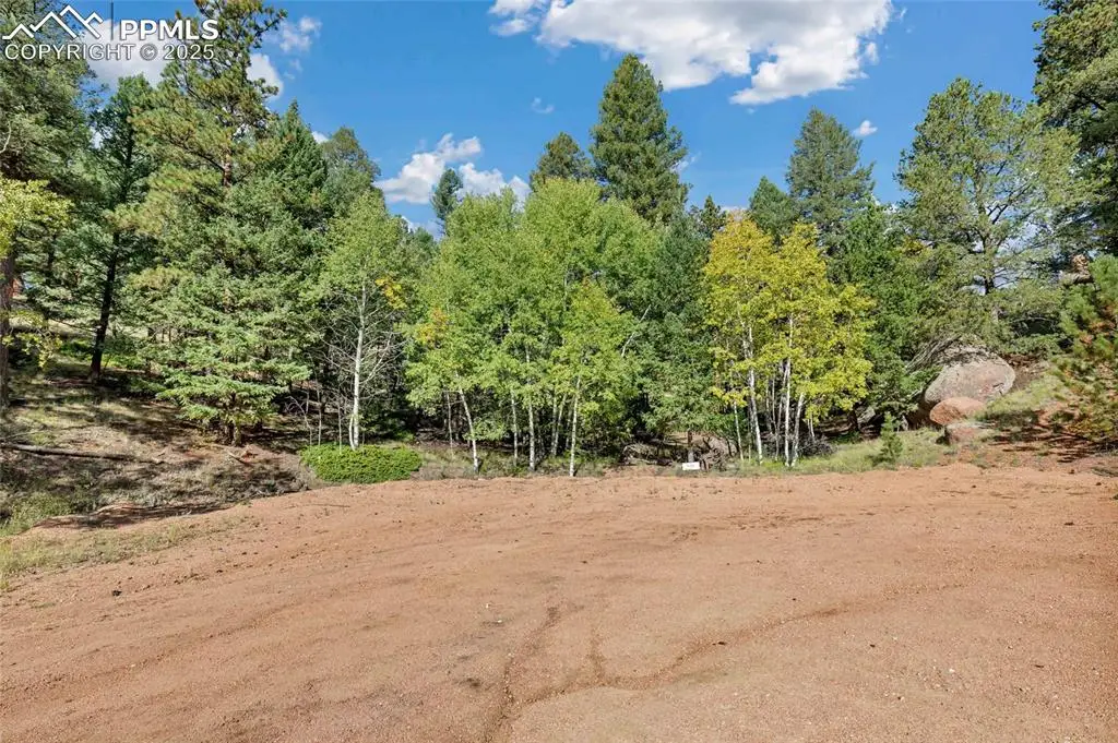 926 Pinon Lane, Florissant, CO 80816 - #1