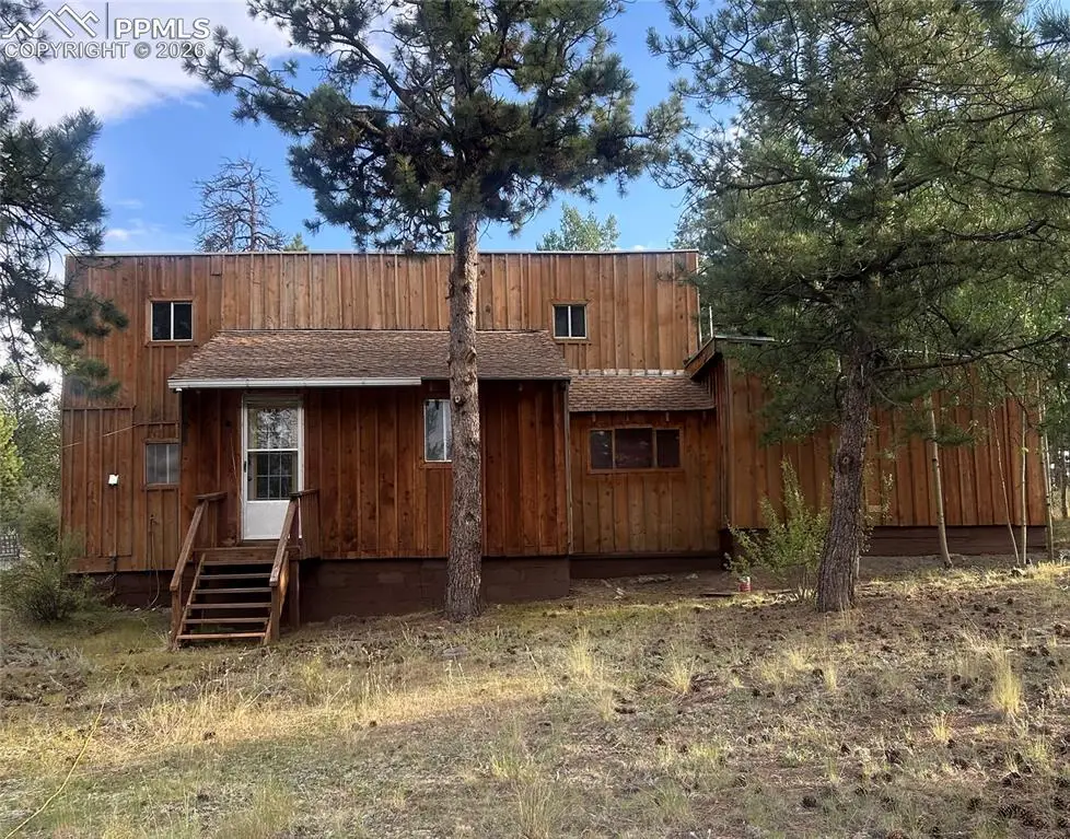 3800 Doe Valley Road, Guffey, CO 80820 - #1