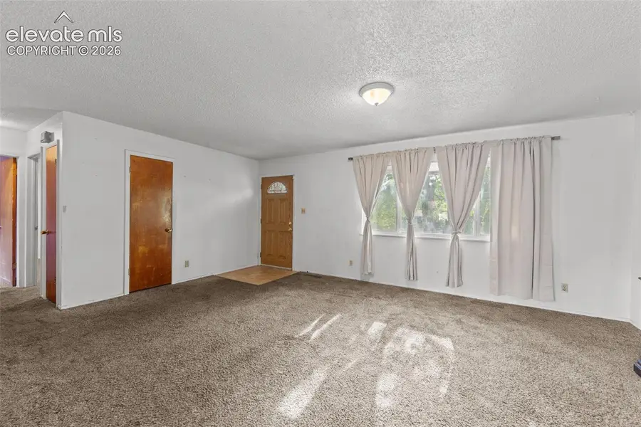 717 S Cedar Street, Colorado Springs, CO 80903 - #3