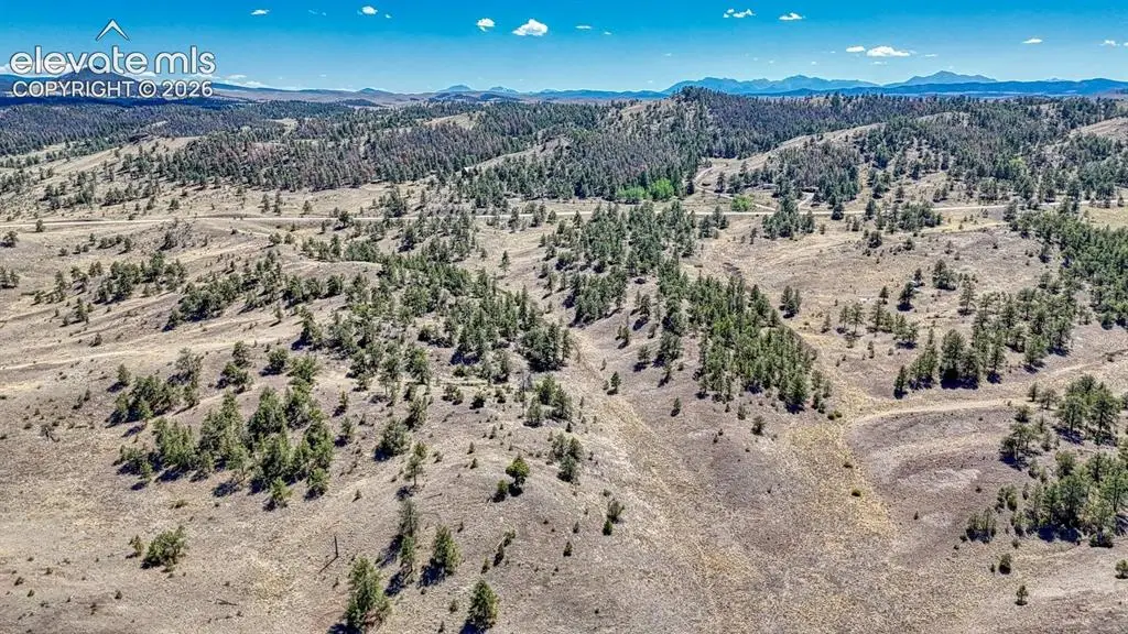 Lot 11 Highway 9, Hartsel, CO 80449 - #1