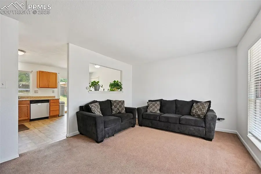 4410 Joyce Place, Colorado Springs, CO 80916 - #3