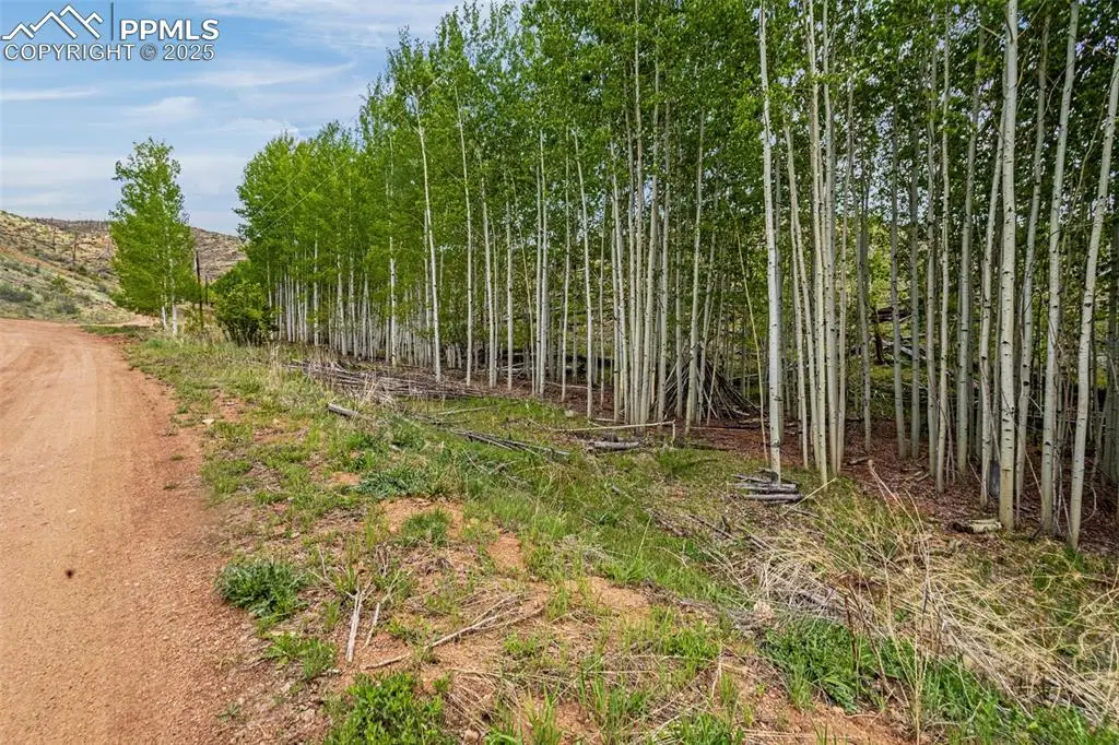 L1 B4 Columbine Circle, Woodland Park, CO 80863 - #1