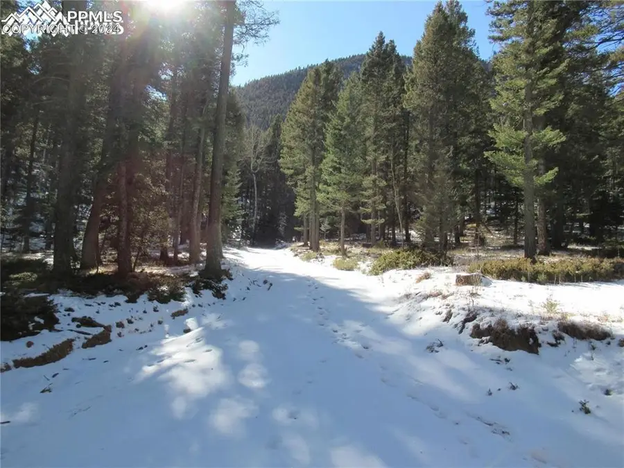 113 Steep Road, Manitou Springs, CO 80829 - Image #3