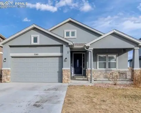 7265 Alpine Daisy Drive, Colorado Springs, CO 80925 - Image #2