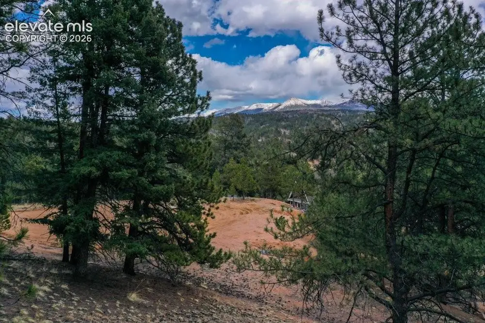 102 Blue Bell Circle, Cripple Creek, CO 80813 - #1