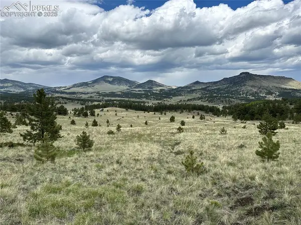 706 Bristlecone Road, Guffey, CO 80820