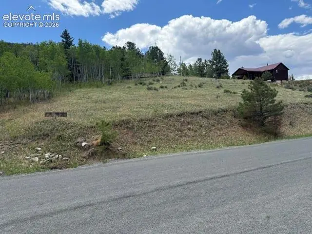7142 County Road 92, Lake George, CO 80827 - #1