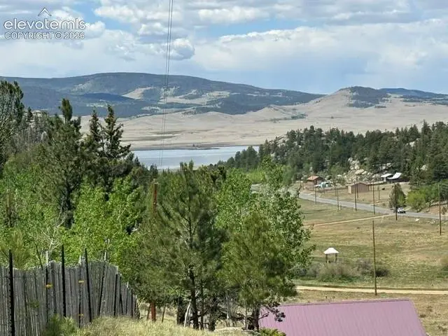7142 County Road 92, Lake George, CO 80827 - #2