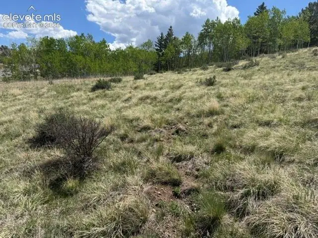 7142 County Road 92, Lake George, CO 80827 - #3
