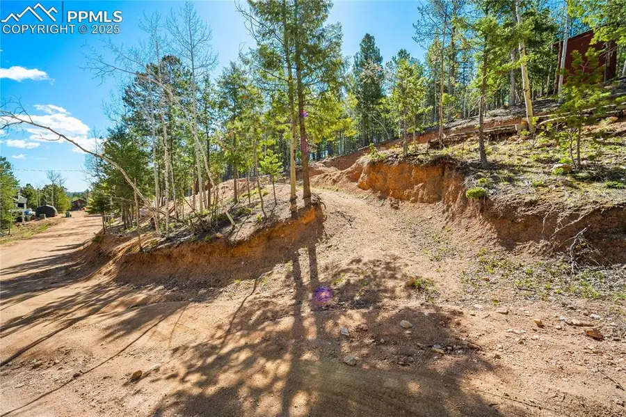 413 Wakanda Trail, Woodland Park, CO 80863 - Image #2
