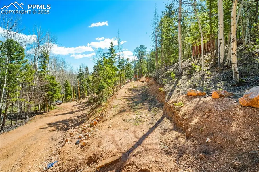 413 Wakanda Trail, Woodland Park, CO 80863 - Image #3