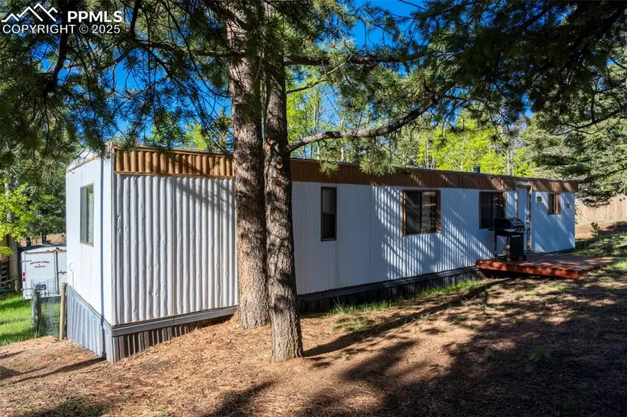 310 Blossom Road, Woodland Park, CO 80863 - #2