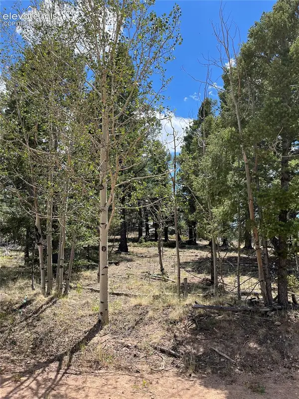 506 Castle Mountain Drive, Guffey, CO 80820