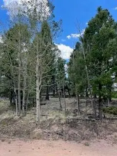 506 Castle Mountain Drive, Guffey, CO 80820 - #2