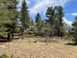 506 Castle Mountain Drive, Guffey, CO 80820 - #3