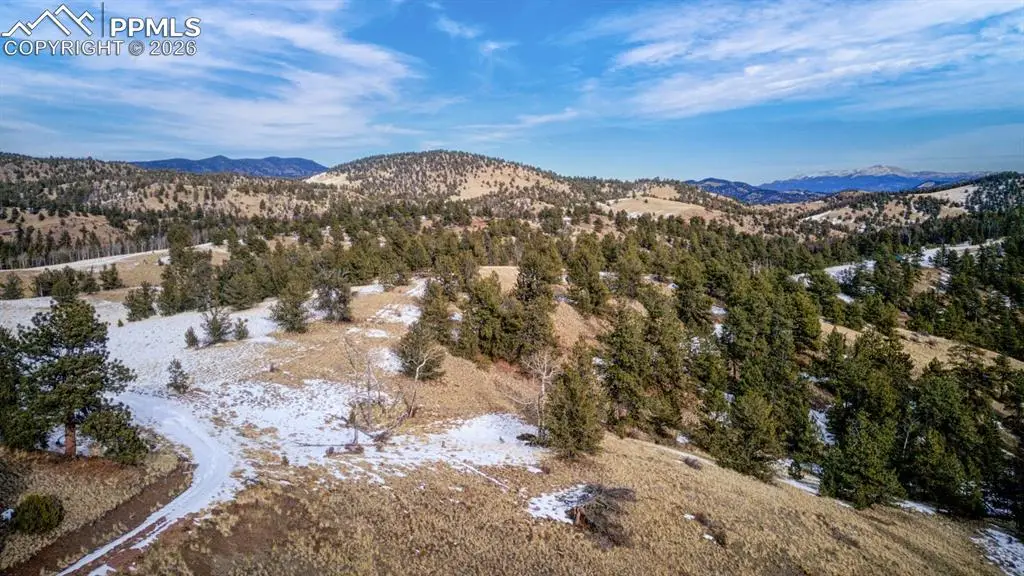 13 Buckhorn Trail, Guffey, CO 80820 - #1