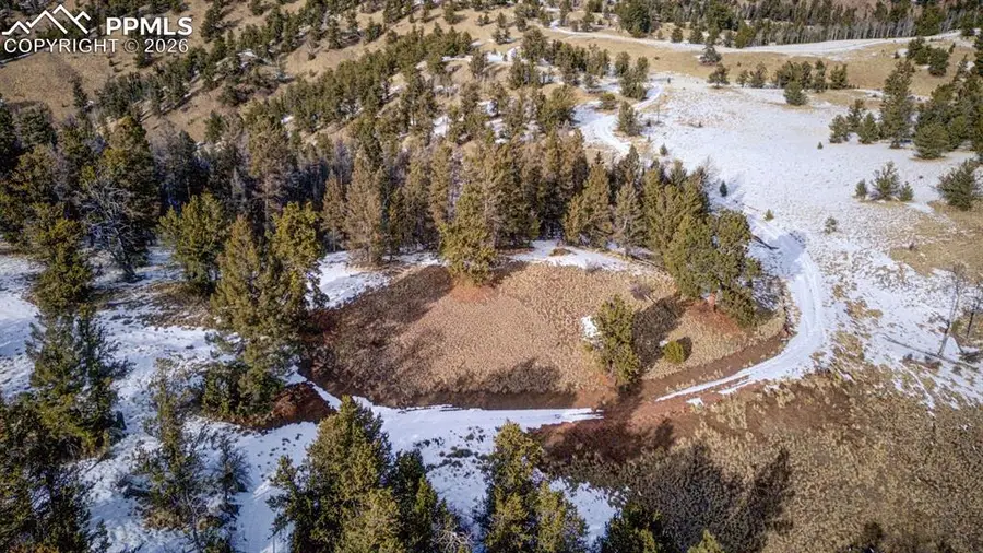 13 Buckhorn Trail, Guffey, CO 80820 - #2