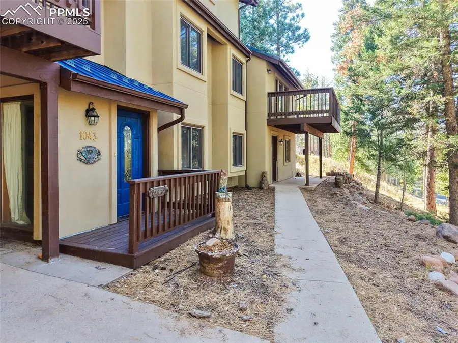 1043 Kings Crown Road, Woodland Park, CO 80863 - Image #3