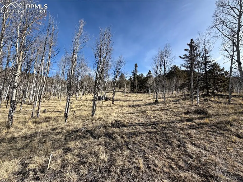 32 Sugar Loaf Lane, Jefferson, CO 80456 - #1
